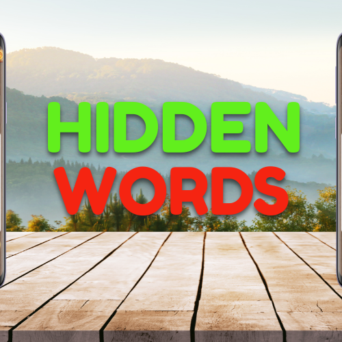 Hidden Words - Word Search